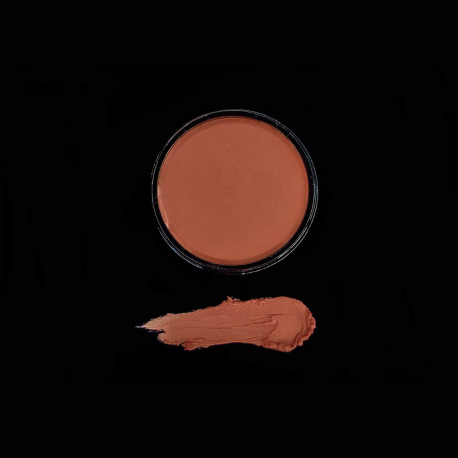 Mila Marzi Labial Vitamina "Rubor cremoso Multifunción" Nude Terra petaca x 3,5 gr 
