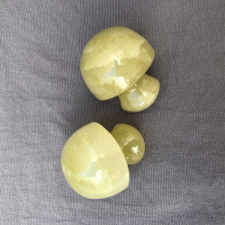 Mushrooms ONIX verde