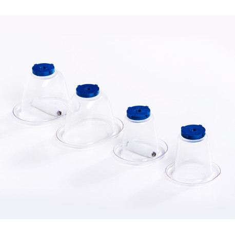 GoGroup Dermossage + Copas Para Gluteos