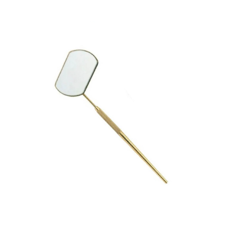 Beauty Now Espejo de Pestañas