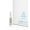 BioCosmética Exel Gel Fluido Complejo para la Celulitis  1 Ampolla de 10 ml