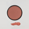 Mila Marzi Labial Vitamina "Rubor cremoso Multifunción" - pomelo rosado petaca x 3,5 gr