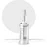 Dermassy Concentre Blend Antioxidante x 5 Ampollas