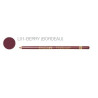 Raffinee Delineador de Labios Berry