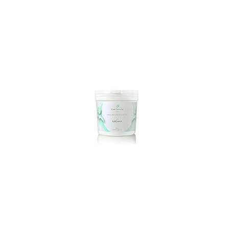 Carthage MASCARA PLASTICA FACIAL CON BARDANA