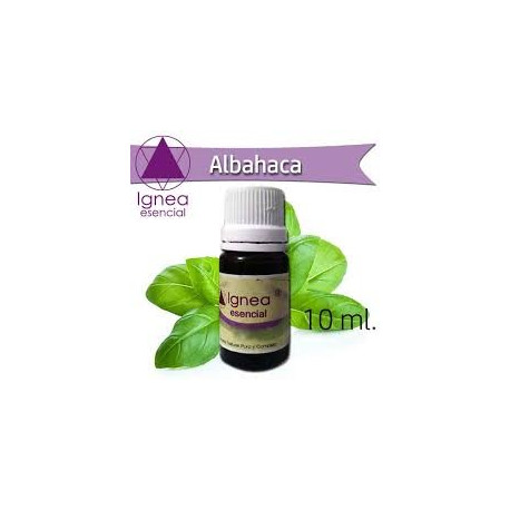 Ignea Esencial Albahaca
