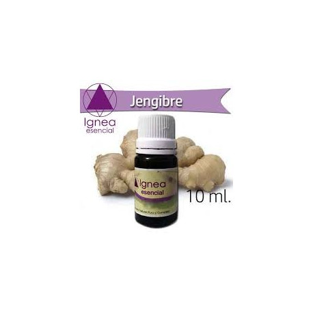 Ignea Esencial Jengibre