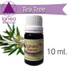Ignea Esencial Tea Tree