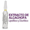 Dermassy Ampollas de Alcachofa 2% 5 ml x 10 ampollas