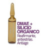 Dermassy Ampollas de DMAE 1% + Silicio Orgánico 1% 5 ml x 10 ampollas