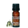 Cristina Moro Escencia Eucalipto x 10 ml.