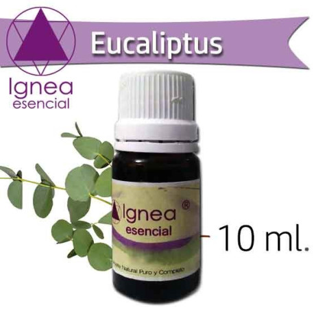 Ignea Aceite Esencial Eucalipto x 10 ml