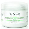 BioCosmética Exel crema cuidado piel acneica  250 gr